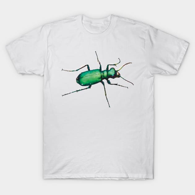 Six-spotted Tiger Beetle T-Shirt by Griffelkinn